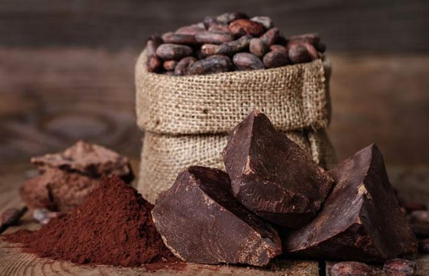 organic cacao seeds อาหารเพื่อผิวสวย ผงคะเคาหรือดาร์คช็อคโกแลต