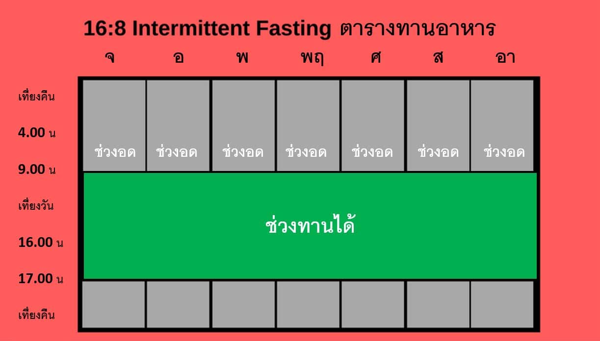 Intermittent fasting schedule การทำ Intermittent fasting แบบ 16/8 พร้อมตารางตัวอย่าง health platz