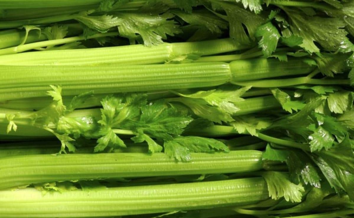 celery-ผักควบคุมน้ำหนัก