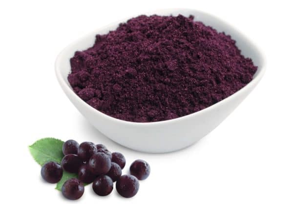 Maqui berry EU USDA organic powder-healthplatz superfood online back