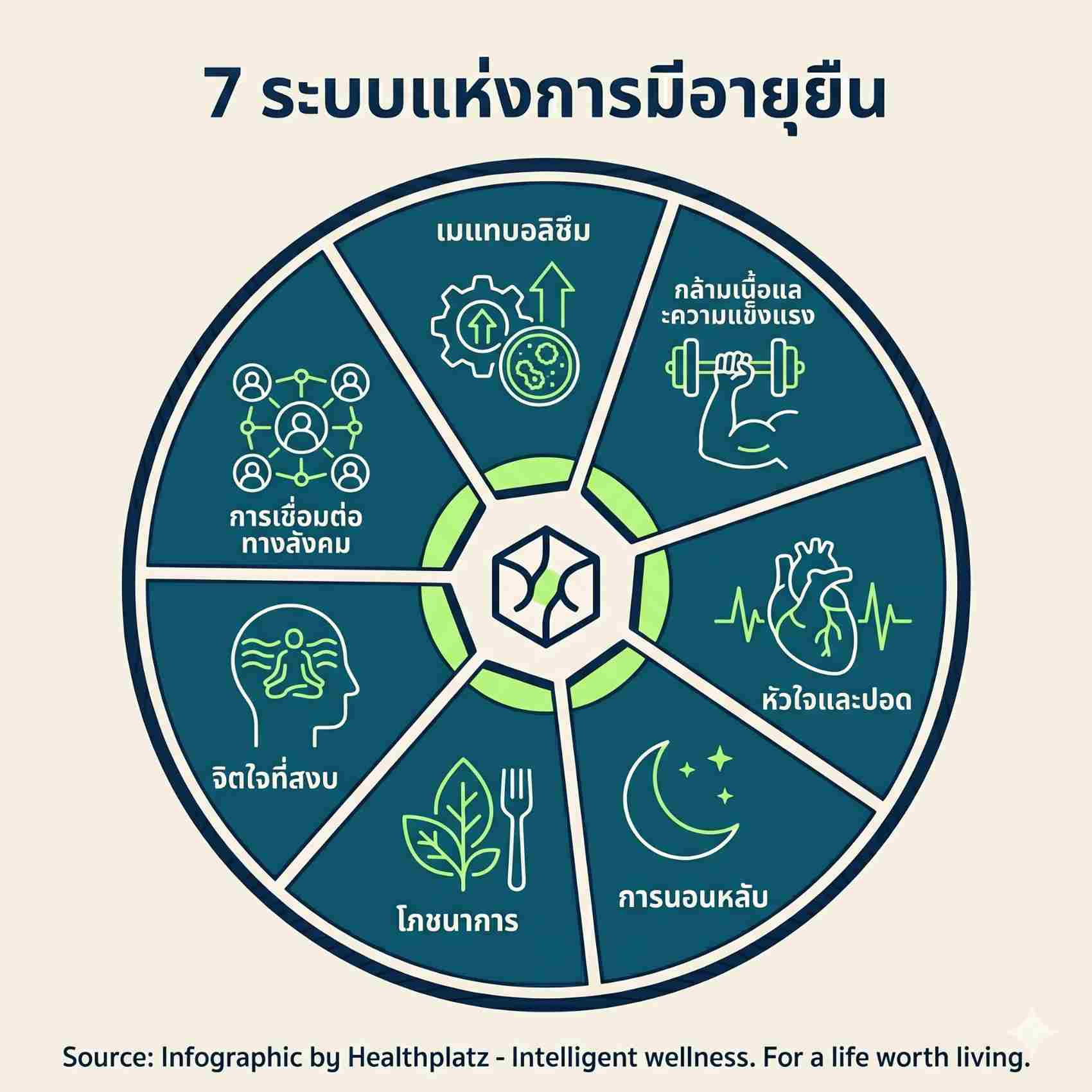 7 เสาหลักแห่งการมีอายุยืน Healthplatz