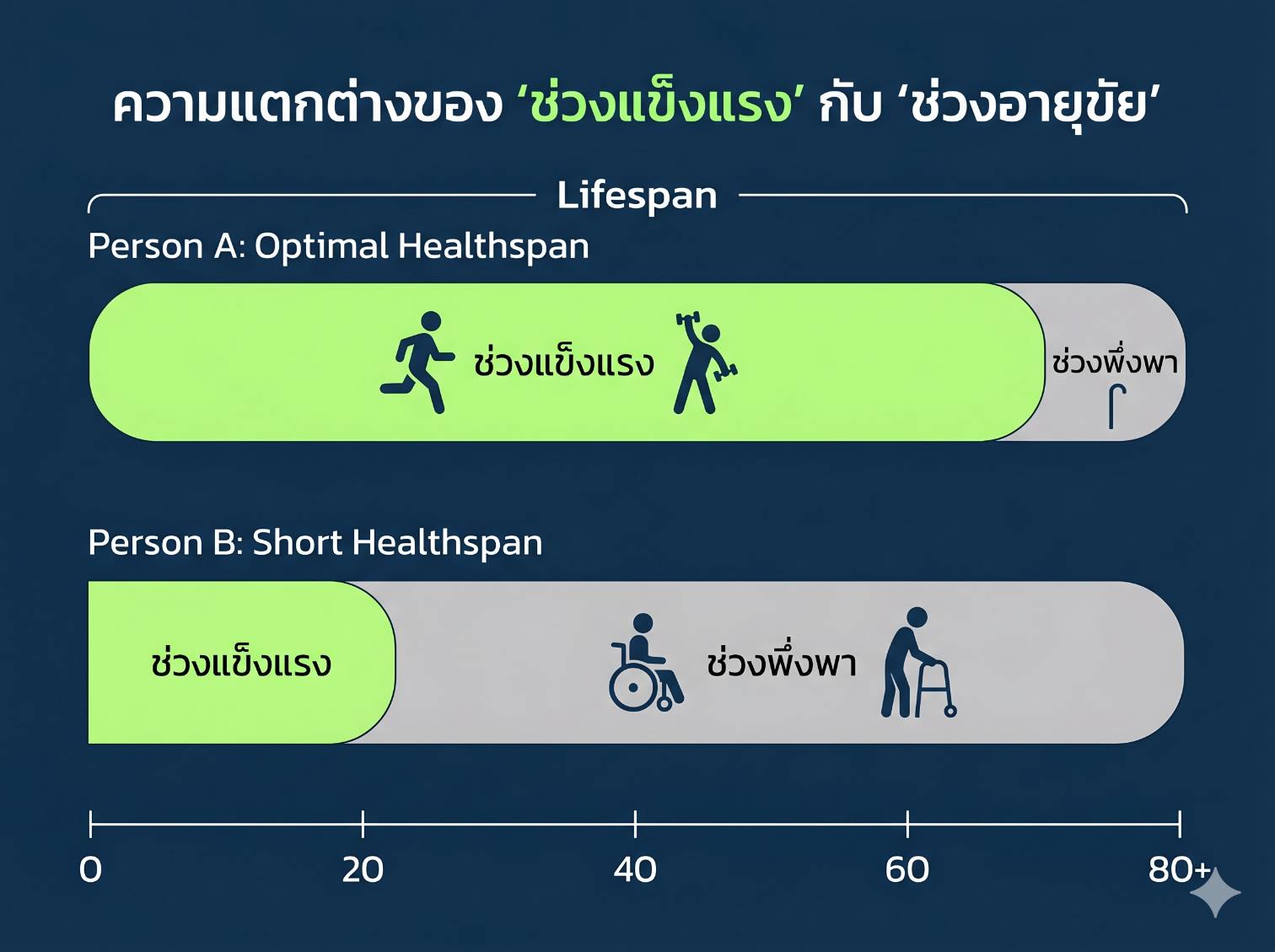 เปรียบเทียบช่วงชีวิตที่แข็งแรงกับช่วงชีวิตที่เจ็บป่วยพึ่งพา
